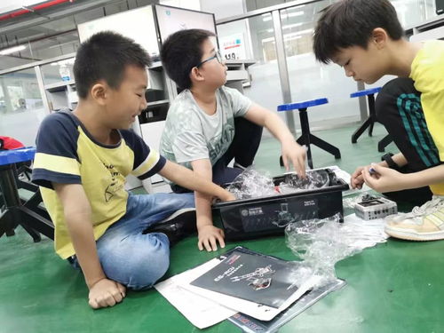 以勞育人,五育并舉 珠海理工開展第二屆 rolling the robot玩轉機器人公益培訓